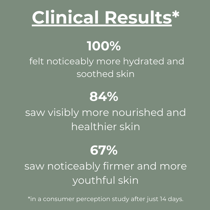 No. 12 REPLENISH - Superfood Enzyme Nutritive Masque