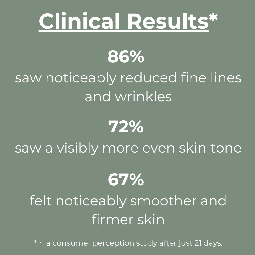 No. 6 REJUVENATE - Overnight Intensive Treatment Elixir