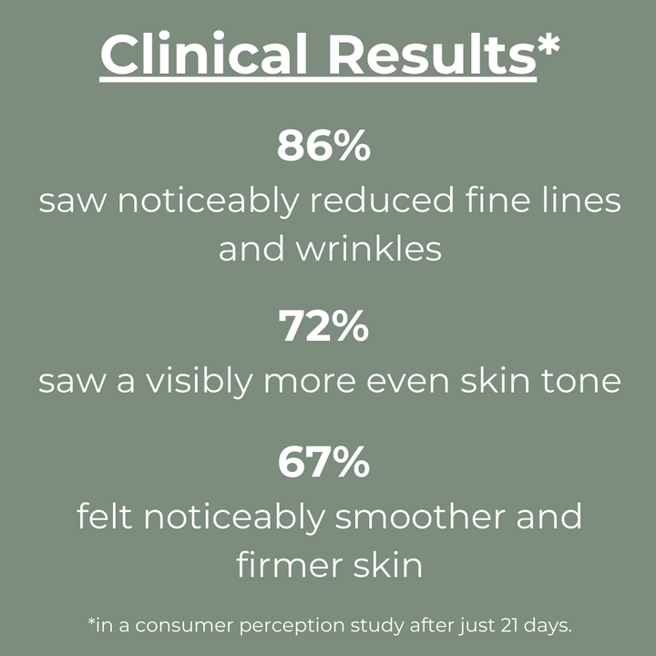 No. 6 REJUVENATE - Overnight Intensive Treatment Elixir